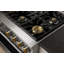 Monogram 36" Dual-Fuel Professional Range with Griddle