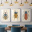 Beetle Bug I - reproduction sur mesure encadrée de qualité supérieure - 3 pièces
