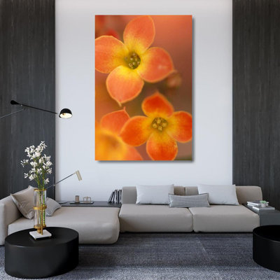 Art sur toile tendue avec la galerie Karin Astoria Grand Connolly, fleur d'oranger I
