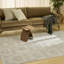 Tapis d'intérieur moderne ivoire Ebern Designs Ebern Designs-146854745