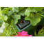 Self-Watering Planter Box-15783887