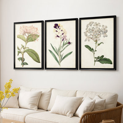 Antique Botanical Collection VI - Toile tendue avec châssis sur mesure - 3 pièces