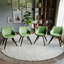 Ensemble de 4 chaises de salle à manger, chaise de salle à manger de cuisine moderne médiévale, chaises décoratives en polyuréthane avec pieds en métal noir, convenant à la maison et à la cuisine (vert et orange)-42673823