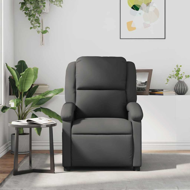 Fauteuil inclinable en cuir véritable gris, Gris