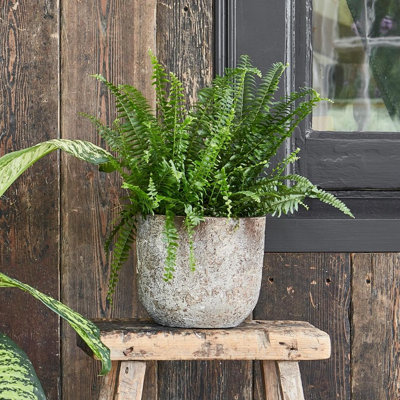 Albero Planter H 26cm D 28cm