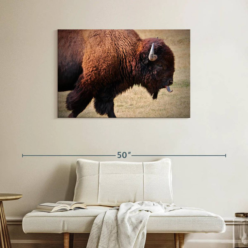 Tongue Wagging Bison, 26" H x 39" W