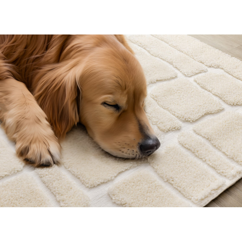 Tapis marocain Hopwood, Rectangle 5 pi 3 po x 7 pi 7 po