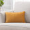 Housse de coussin décoratif en velours de couleur unie Chanasya