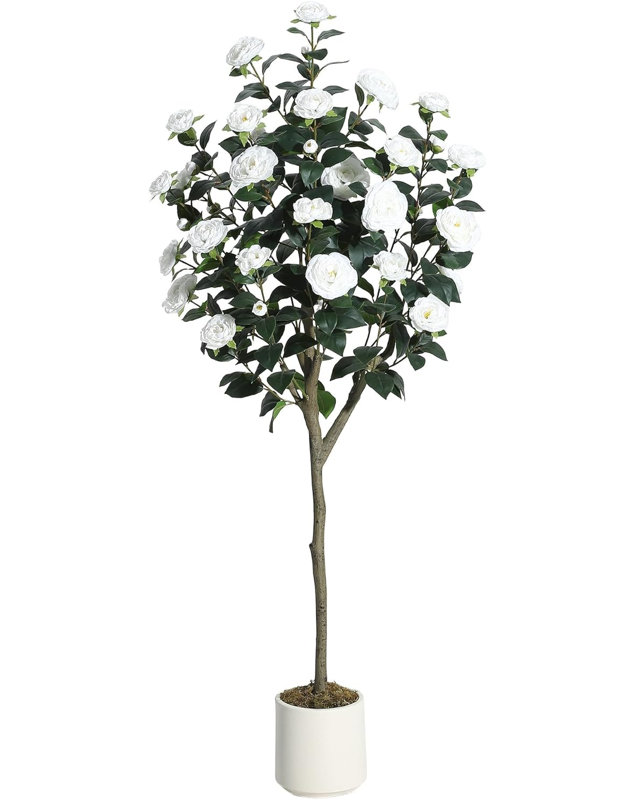 Plant, 152 cm H x 18 cm W