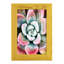 Pastel Succulent Beauty V, reproduction d'art sur papier-638222769-638222776