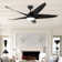 60'' Ceiling Fan With Light
