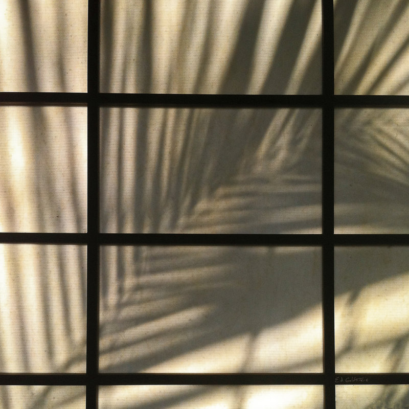 Palm Window by Ed Goldstein - Wrapped Canvas Print, 76cm H x 76cm W