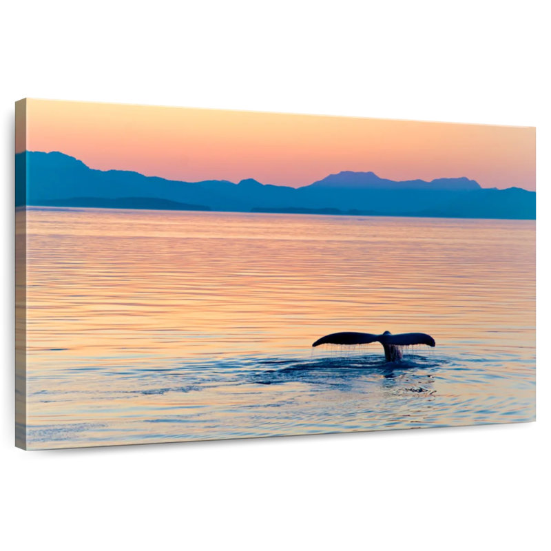 Whale Dive, H 16 po x l 24 po