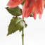 DAHLIA STEM 28"-719130424