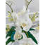 Arrangement d'orchidées Malden dans un vase