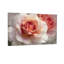Plantes et fleurs rose tendre à motif floral rose-386401151