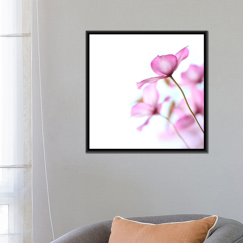 Clematis rose, impression sur toile, H 18 po x l 18 po x P 1,5 po, Toile encadrée noire, Pas de tapis