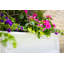 The Anastasiya Resin Window Box Planter with Water Reservoir-276996023-279829709