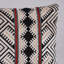 Parvin Velvet Pillow-88499525
