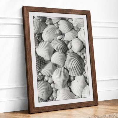 Scallop Shell Rhythms Minimalist - Print