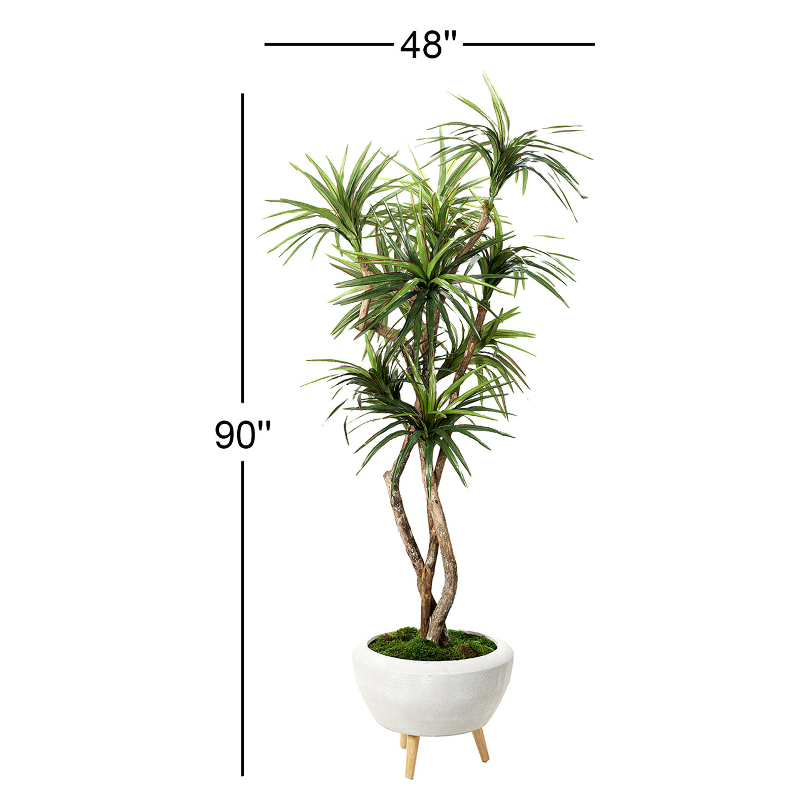 Torrens 90" Dracaena Tree in Planter