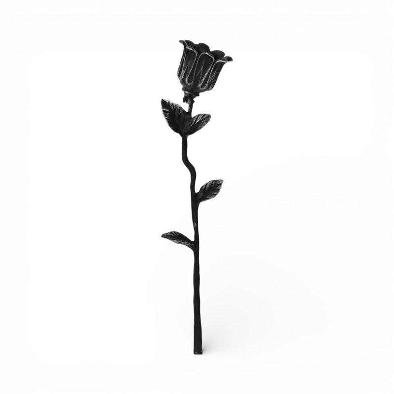 Tabatière Ladona, Noir