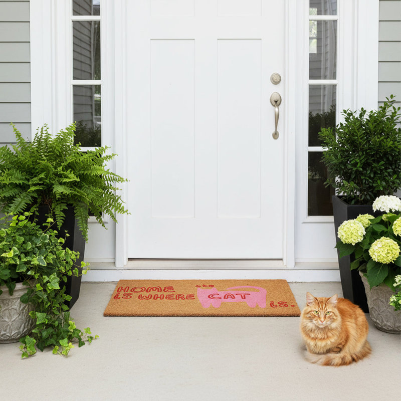 Danelis Non-Slip Doormat, 24" x 36"