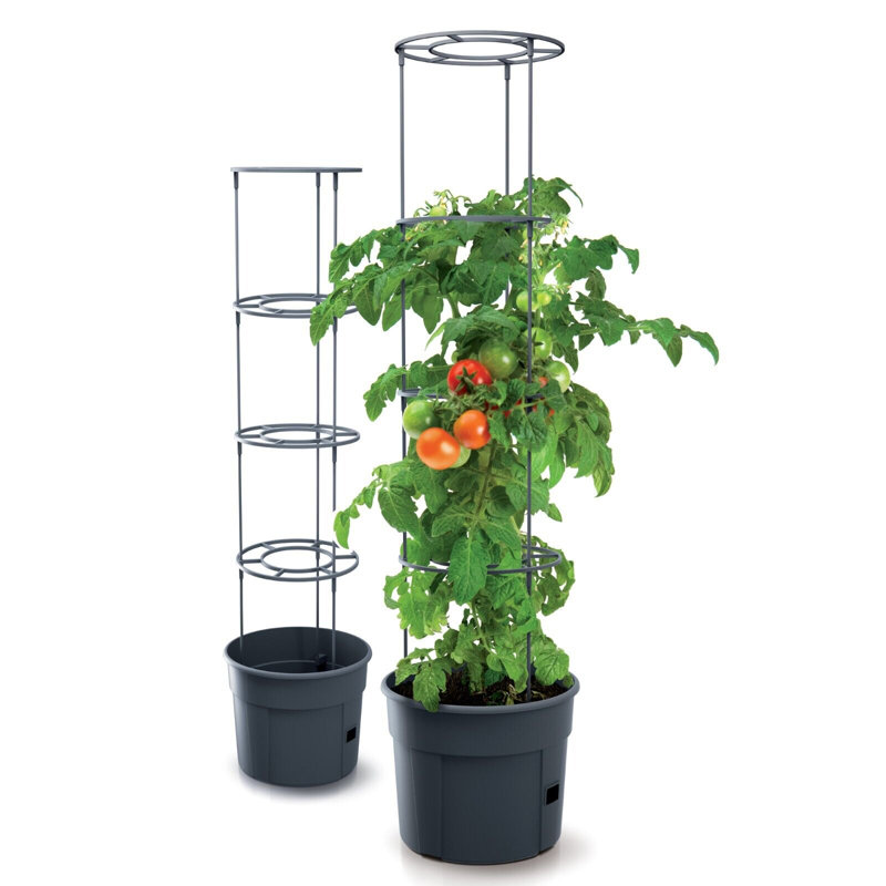 Bavly Plant Support, 115.2cm H x 29.5cm W x 23.6cm D