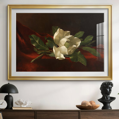 Magnolia Grandiflora (Magnolia sur velours rouge) -Martin Johnson Heade-Toile tendue avec châssis-c. 1885-1890