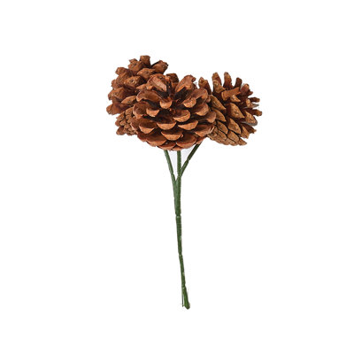 Cône de pin