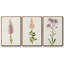 Mauve Garden Flowers I, ensemble de 3 toiles encadrées sur toile-97812331-97812335