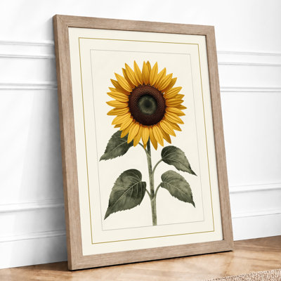 Golden Sunflower Study Botanical - Print