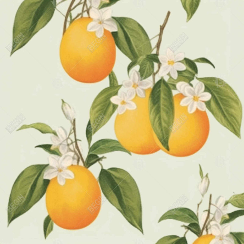 " Suspended Oranges "