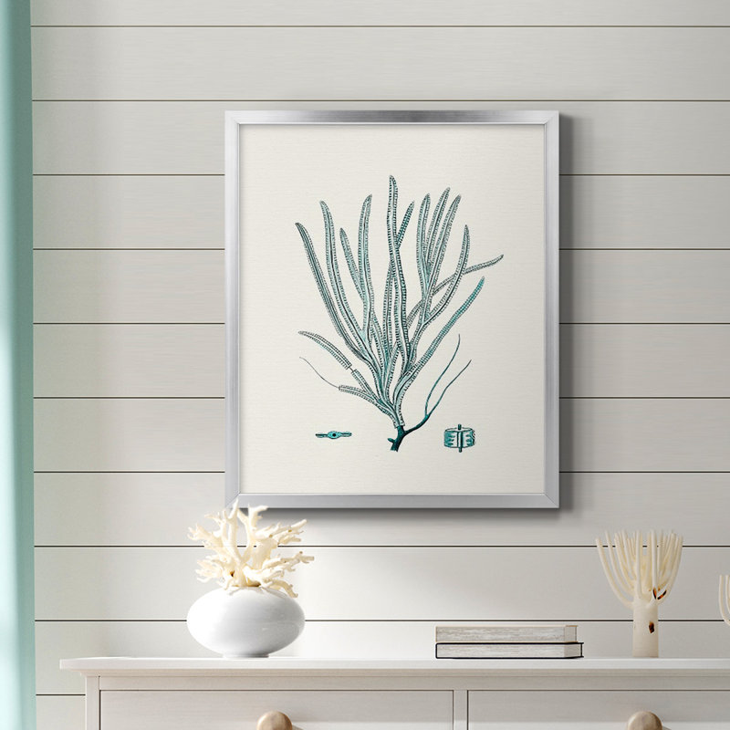 Toile encadrée antique Premium Coastal Coral VII - prête à être accrochée, Argent, H 24 po x l 20 po
