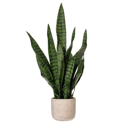 Faux Snake Plant Plant in Cement Pot