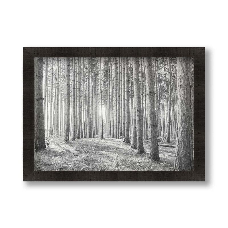 Seek by Hal Halli. Paper Print - Mounted & Framed, 34" H x 44" W