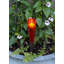 Votive en verre Madore
