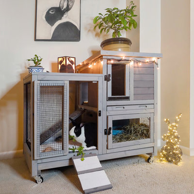 Weather Resistant Hutch with Ramp