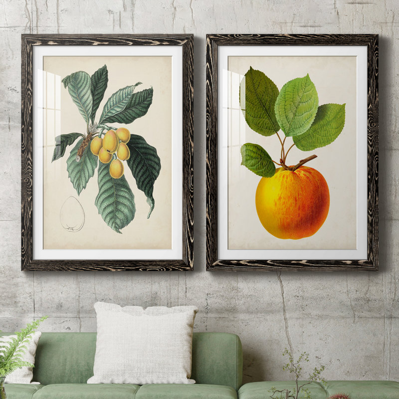 Feuillage antique et fruit VI - ensemble de 2 reproductions d'art sur papier encadré, Papier encadré noir