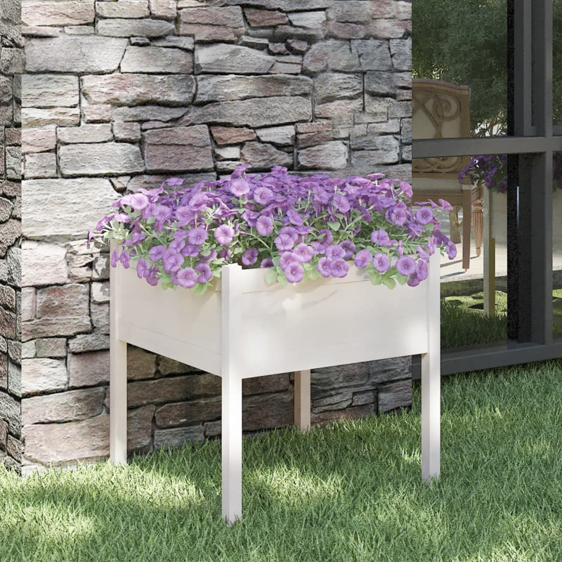 Alasteir Wood Planter Box, 70cm H x 70cm W x 70cm D, White