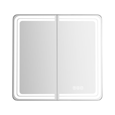 Surface and Recessed Medicine Cabinet