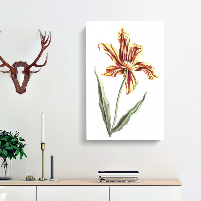 A Tulip Flower by Johan Teyler - Wrapped Canvas Painting, 76cm H x 50cm W x 3cm D