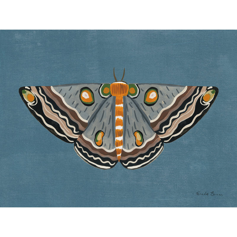 Textured Moth I, H 24 po x l 32 po