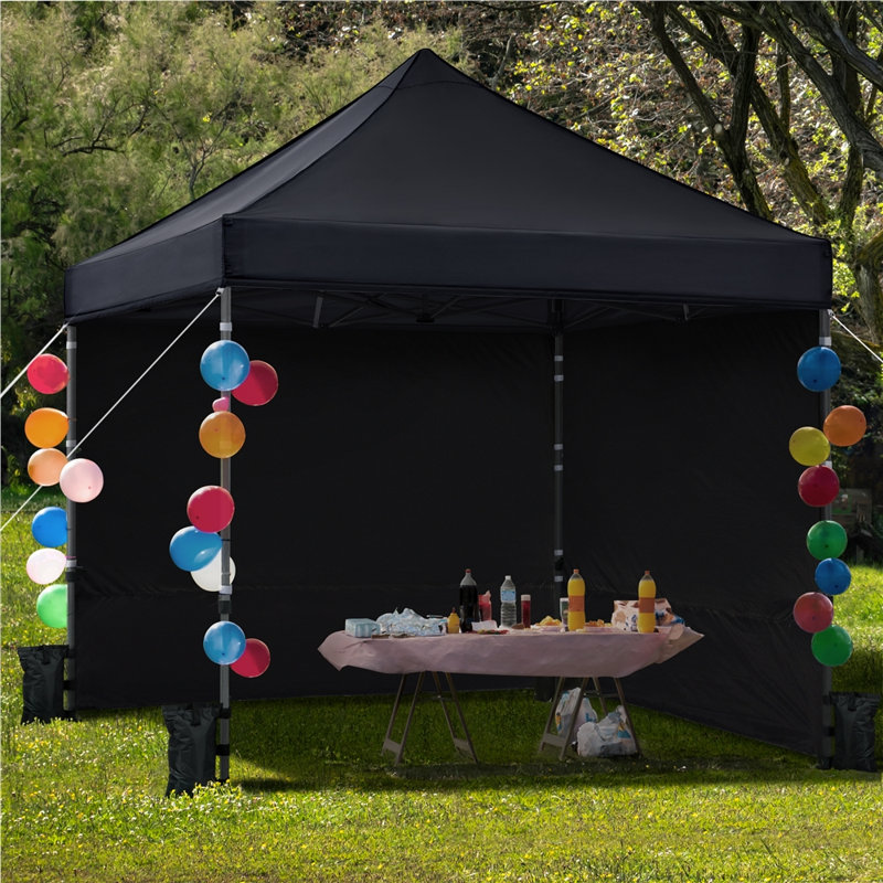 Camdyn 10 Ft. W x 10 Ft. D Steel Pop-Up Canopy, Black