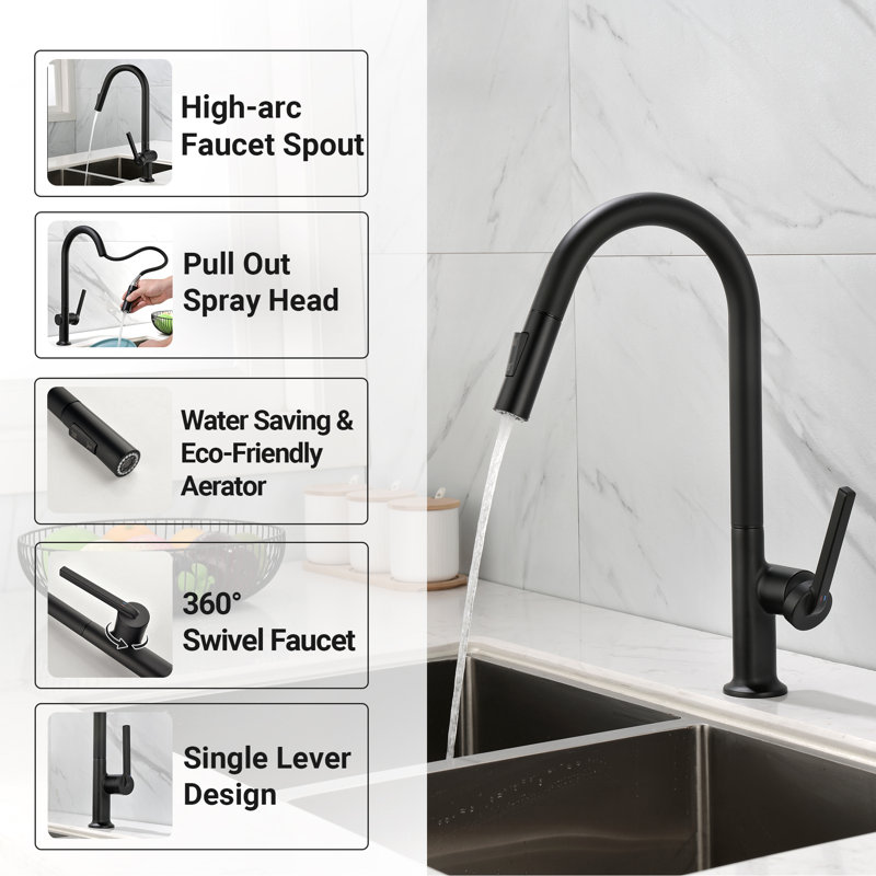 Matte Black Single Handle High-Arc Kitchen Faucet with Pull-out Spray