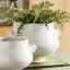 Wellon Handmade Ceramic Planter-858369497