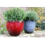Einar Pot Planter-1529118353-1529118358