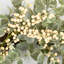 26" Every Day Eucalyptus Berry Wreath for Front Door -1679669794