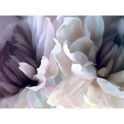 «Raeshaun Chrysanthemum X On Canvas» par David Pollard, reproduction