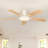 Karlena 52'' Ceiling Fan With Led Lights And Remote Control-1728237030